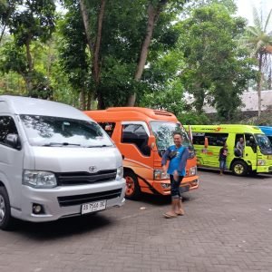 WhatsApp Image 2026-01-03 at 09.34.44